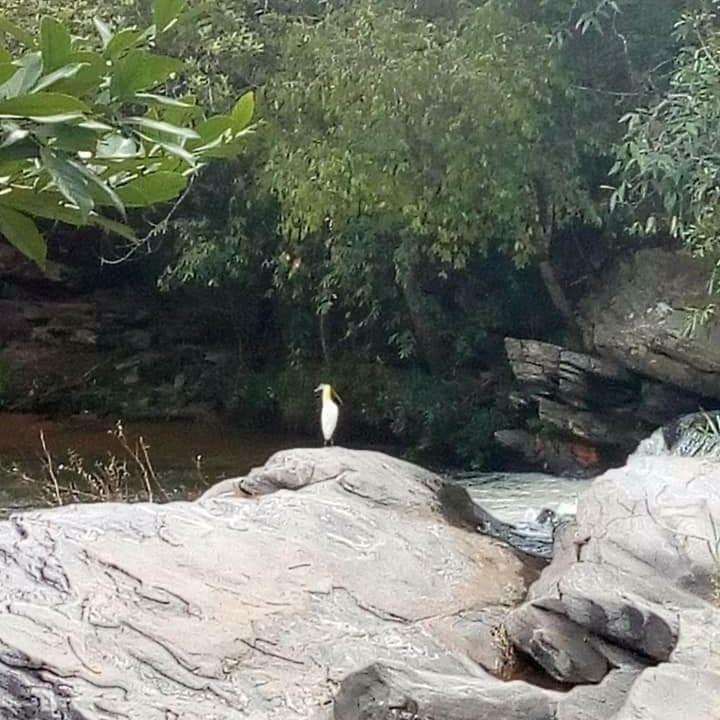 Pouso Do Rio Otel Pirenópolis Dış mekan fotoğraf