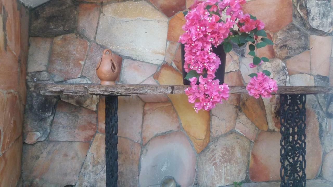Pouso Do Rio Otel Pirenópolis Dış mekan fotoğraf